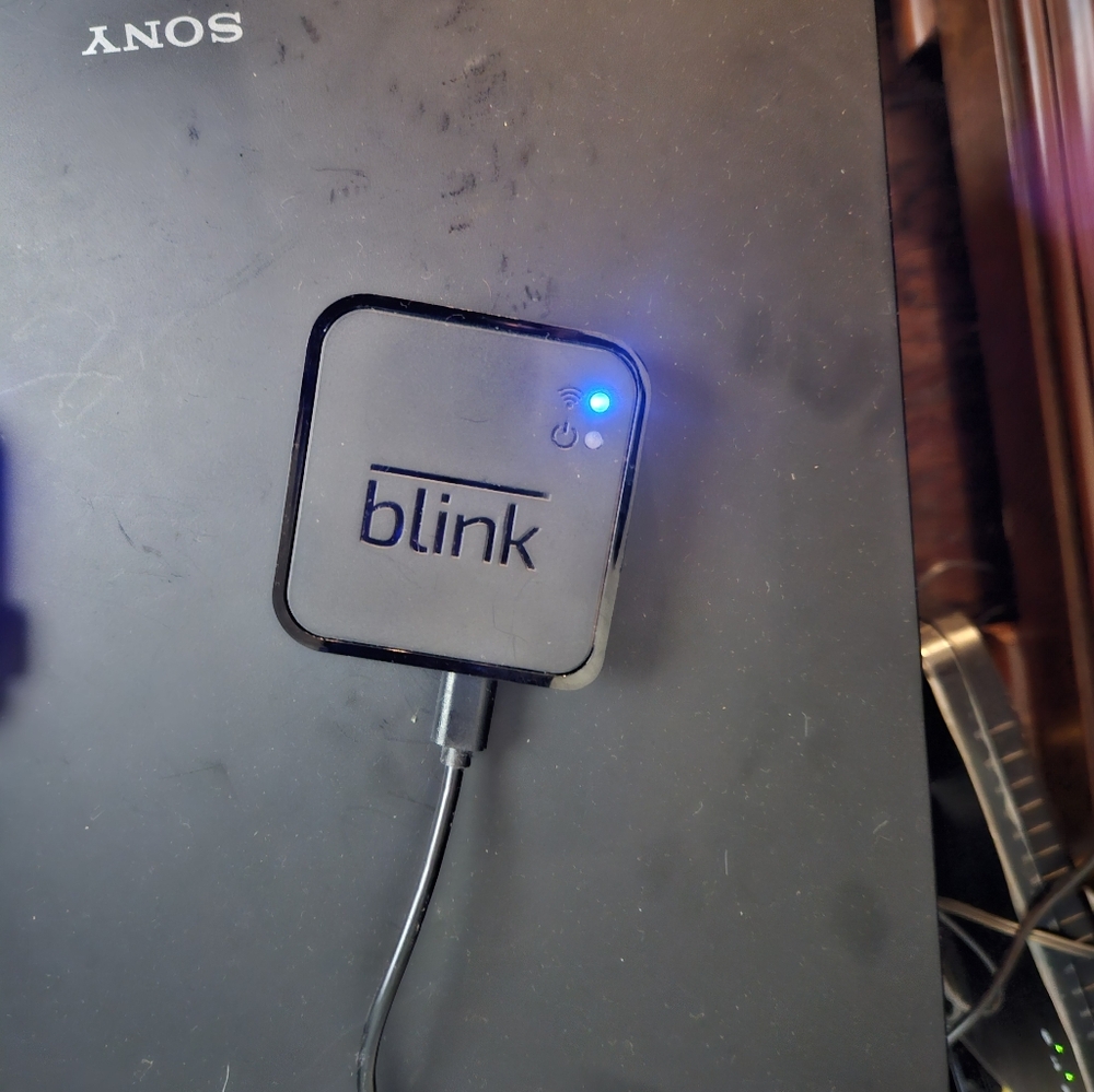 Blink Black Sync Module 1